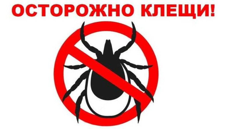 Профилактика клещевого энцефалита.